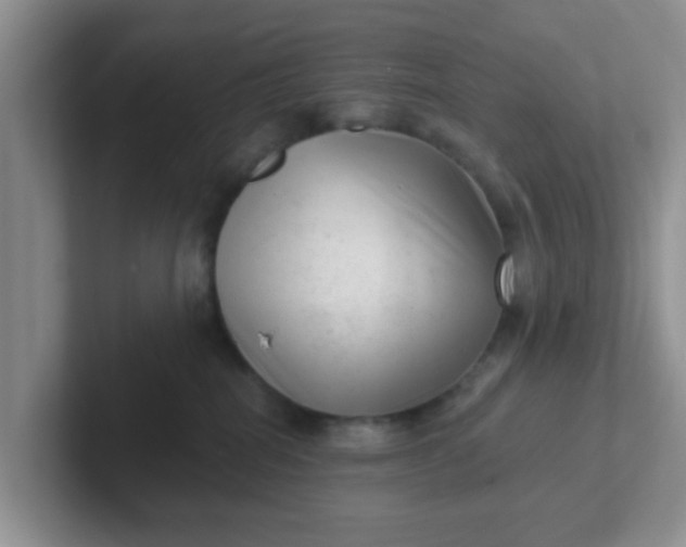 X0000102310282200808081613