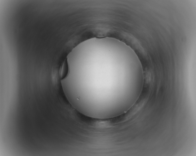 X0000102310283200808081613