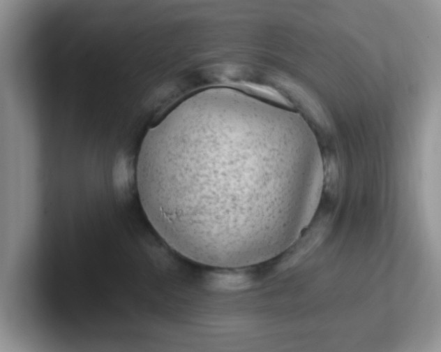 X0000102310284200808081613