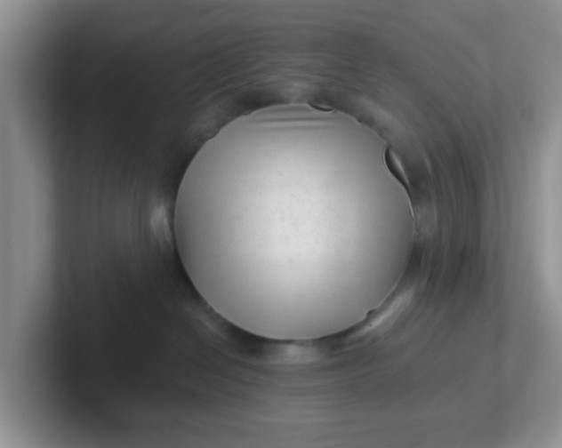 X0000102310286200808081613