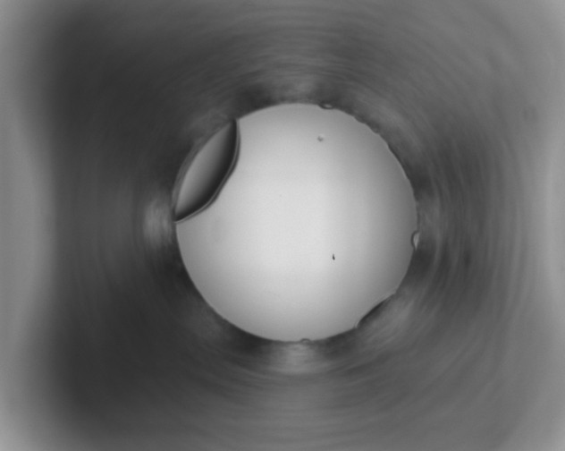 X0000102310287200808081613