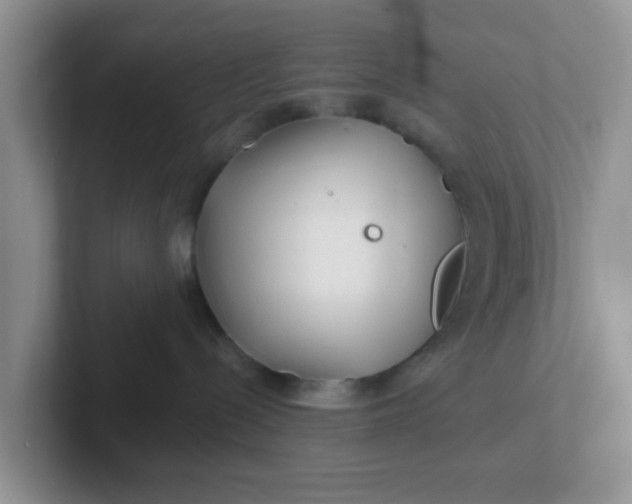 X0000102310288200808081613