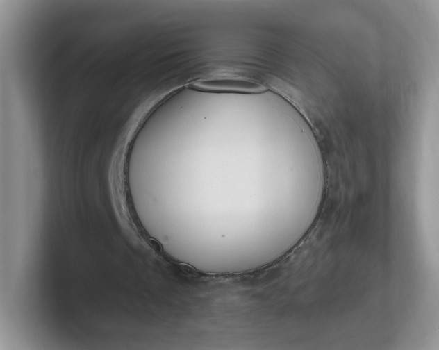 X0000102310289200808081613