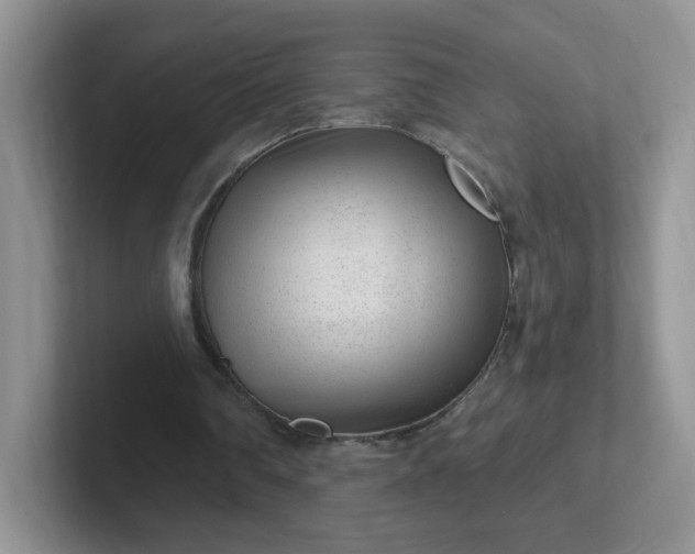 X0000102310290200808081613
