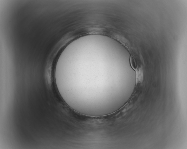 X0000102310291200808081613