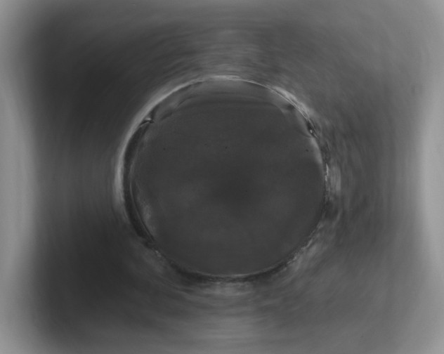 X0000102310292200808081613