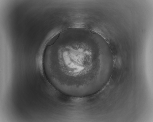 X0000102310293200808081613