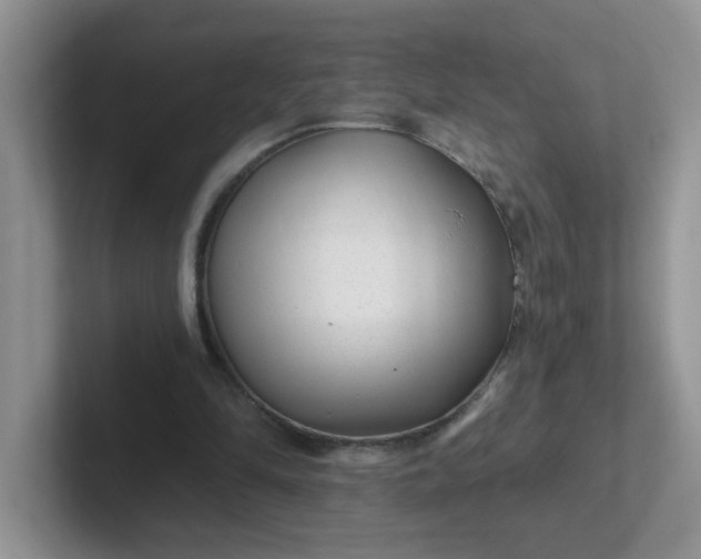 X0000102310294200808081613