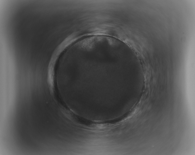 X0000102310295200808081613