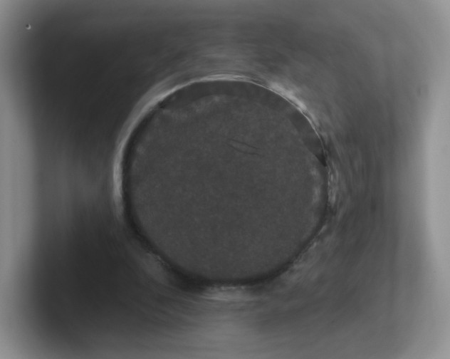 X0000102310296200808081613