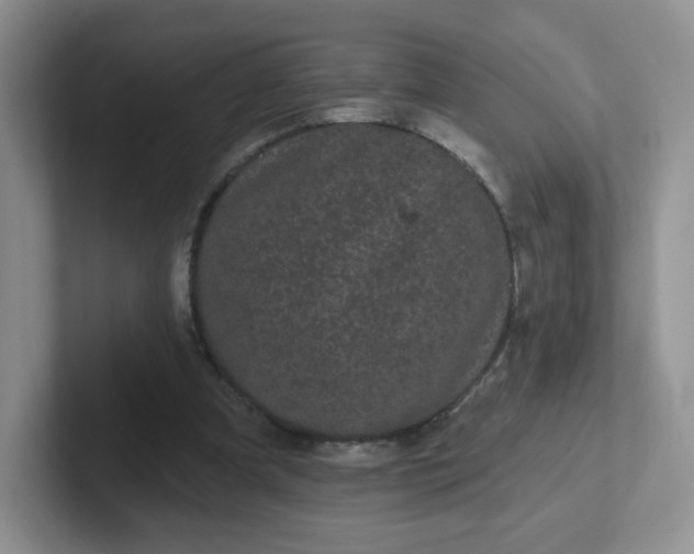X0000102310297200808081613