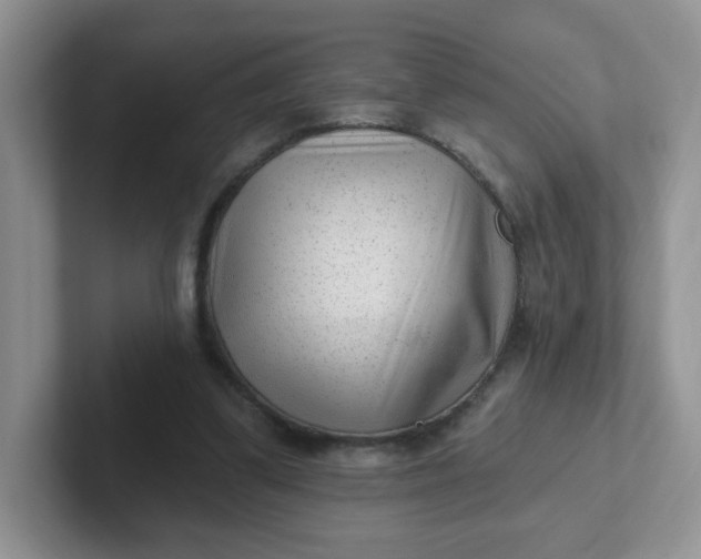 X0000102310299200808081613
