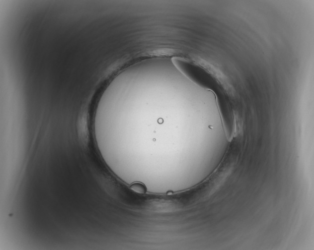 X0000102310300200808081613