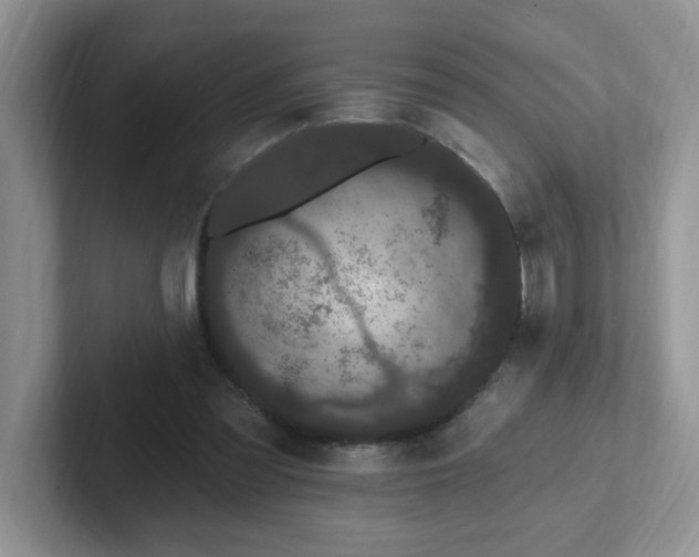 X0000102310301200808081613
