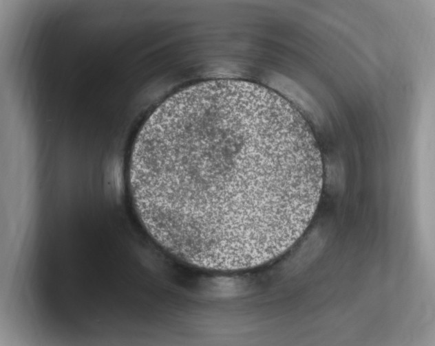 X0000102310302200808081613