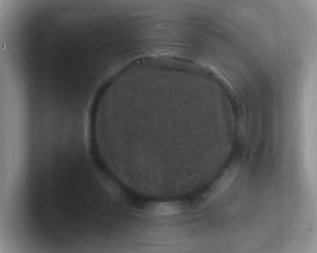 X0000102310303200808081613