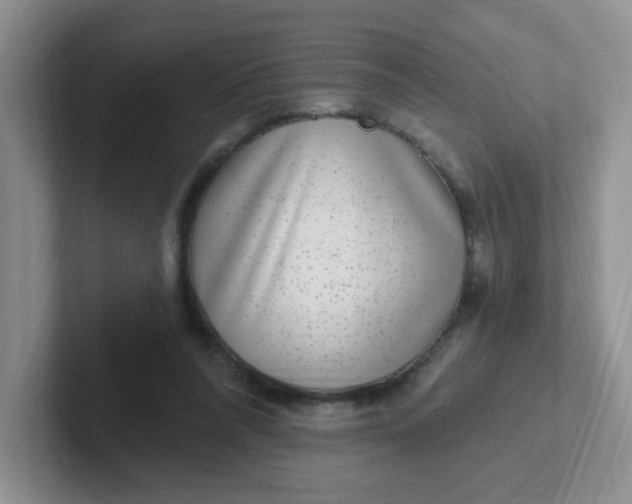X0000102310304200808081613
