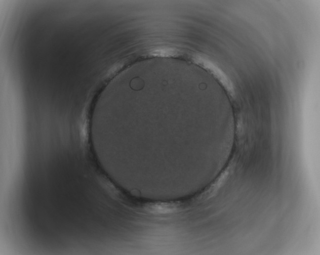 X0000102310305200808081613