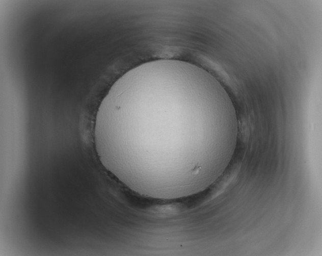 X0000102310307200808081613