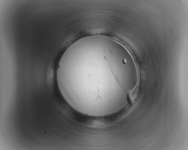 X0000102310308200808081612