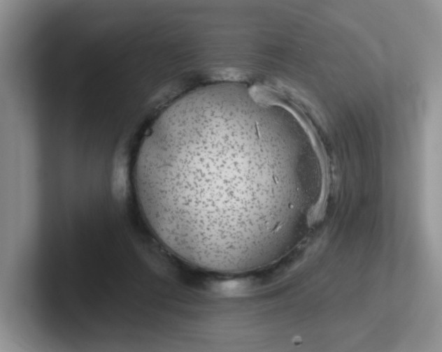 X0000102310312200808081612