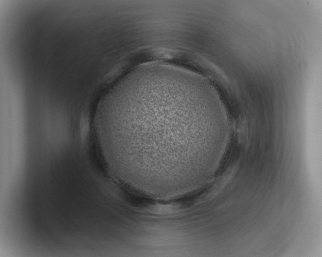 X0000102310314200808081612