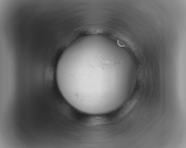 X0000102310315200808081612