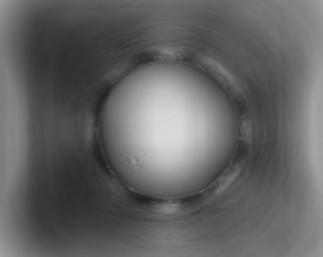 X0000102310318200808081612
