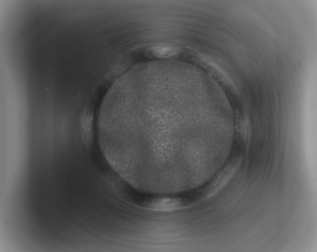 X0000102310319200808081612