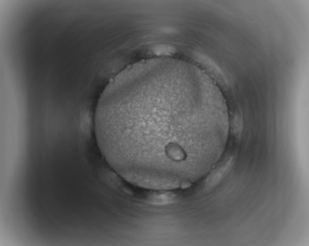 X0000102310321200808081612