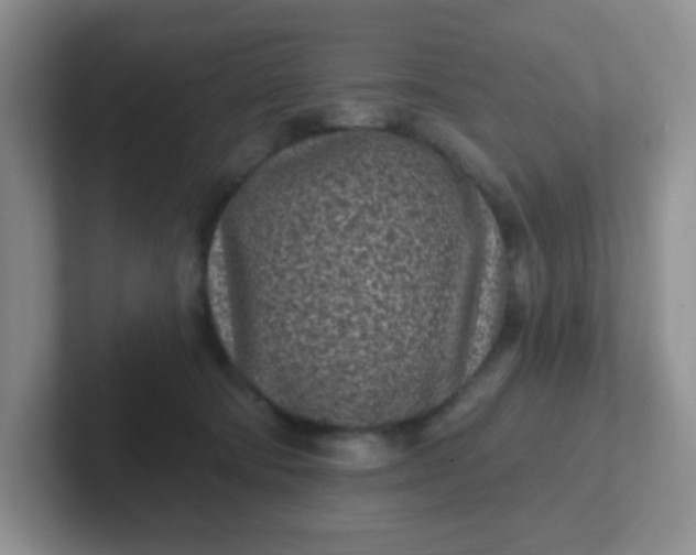 X0000102310322200808081612