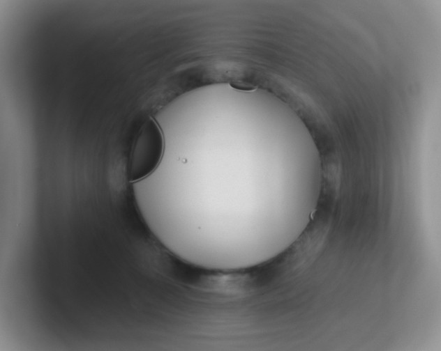 X0000102310323200808081612