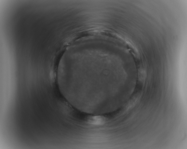 X0000102310324200808081612