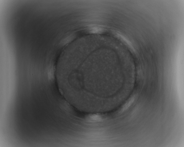 X0000102310325200808081612