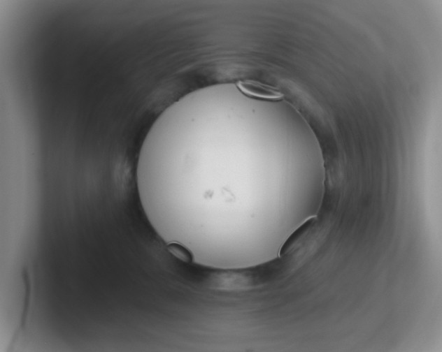 X0000102310327200808081612