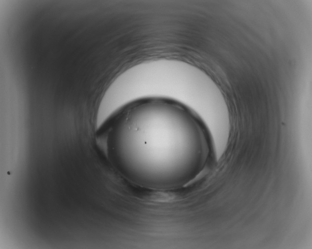 X0000102310328200808081612