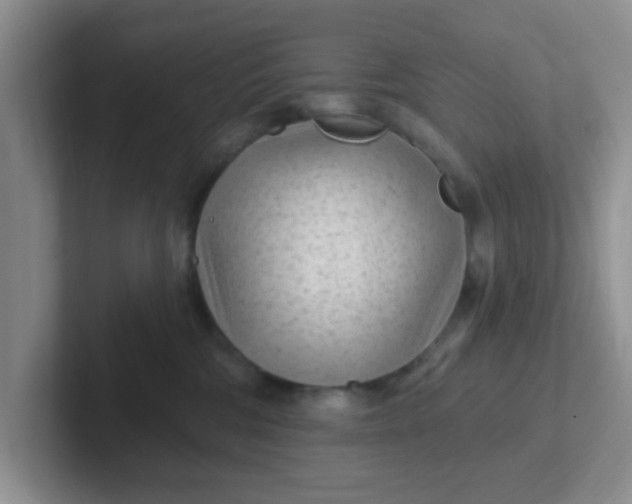 X0000102310330200808081612
