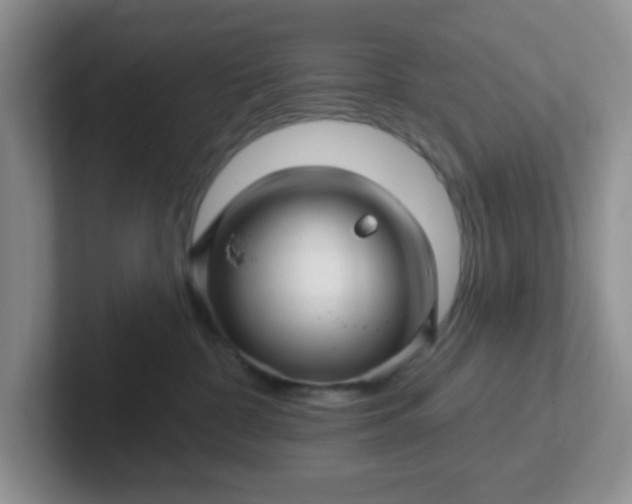 X0000102310332200808081612