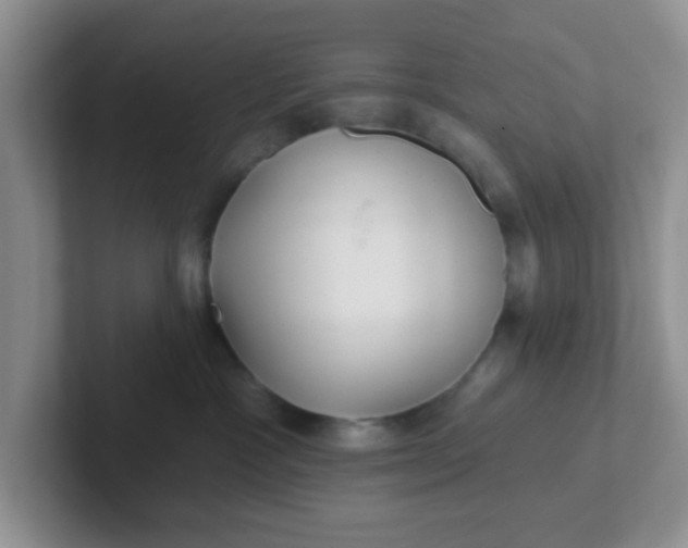 X0000102310333200808081612