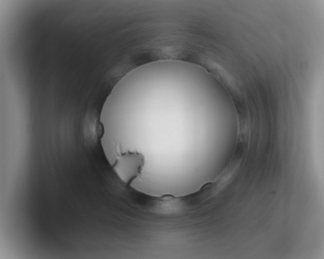 X0000102310334200808081612