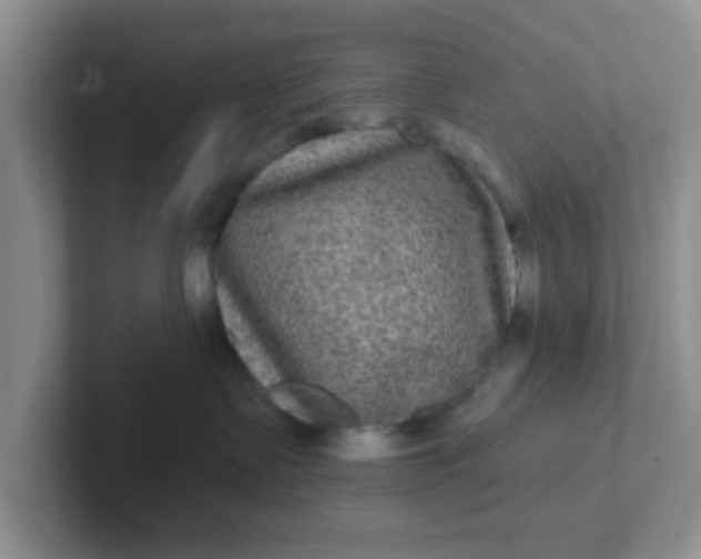 X0000102310335200808081612
