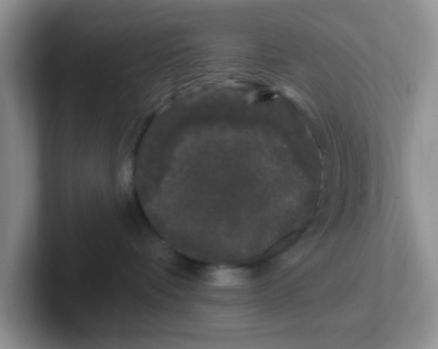 X0000102310336200808081612