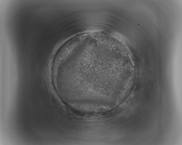 X0000102310337200808081611