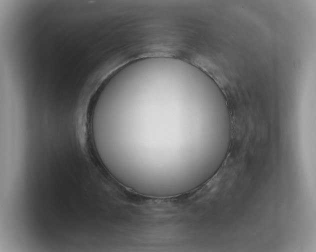 X0000102310338200808081611