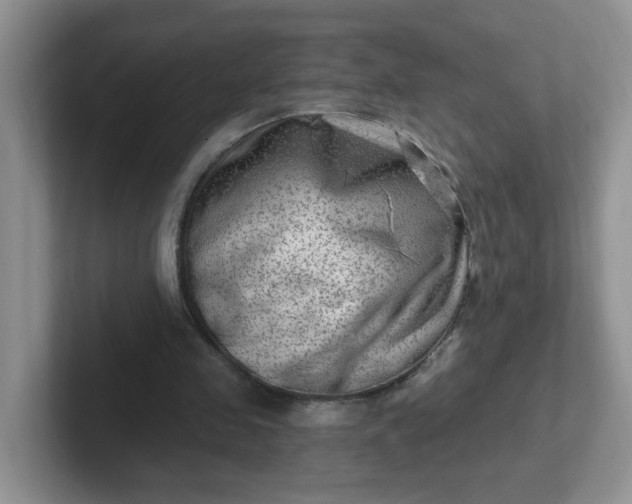 X0000102310341200808081611