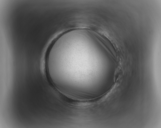 X0000102310342200808081611