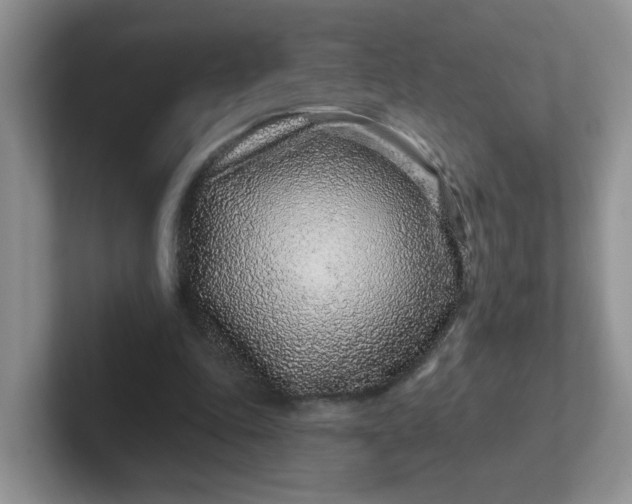 X0000102310343200808081611