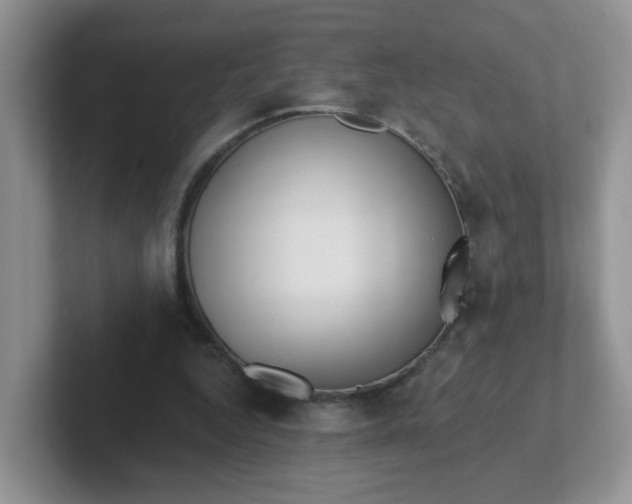 X0000102310344200808081611