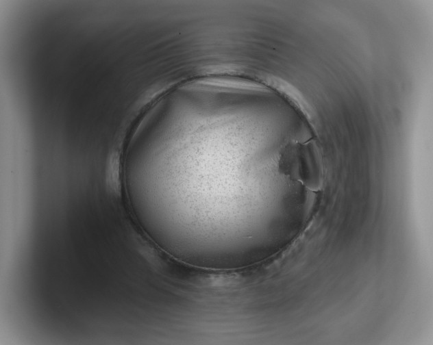 X0000102310345200808081611