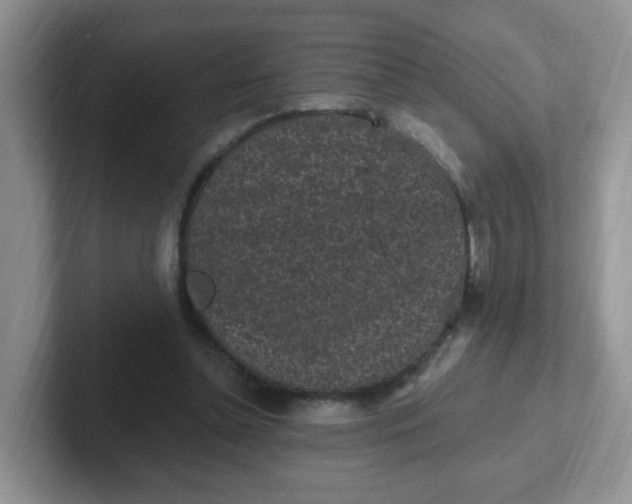 X0000102310348200808081612